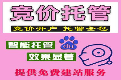成功案例：SEM代运营服务公司提升品牌曝光度